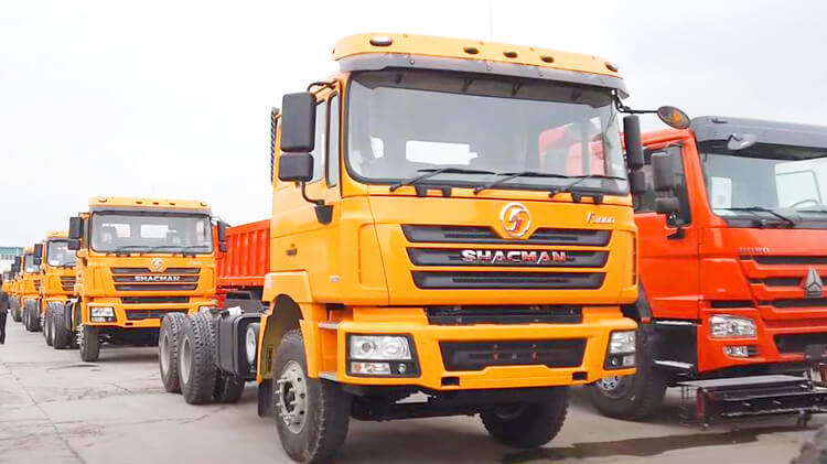 Shacman F3000 10 Wheels Tractor Truck for Sale in Dominica